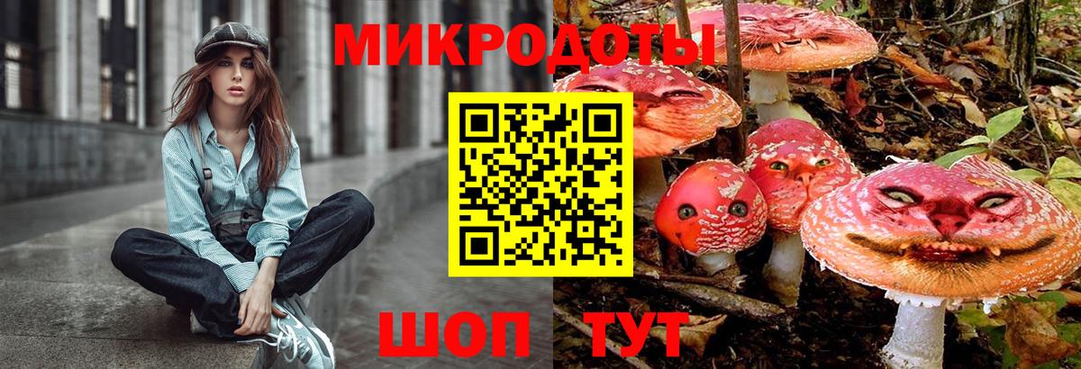 что такое   Галлюциногенные грибы Psilocybine cubensis  Елец  Вход с VPN  Галлюциногенные грибы Magic Shrooms 